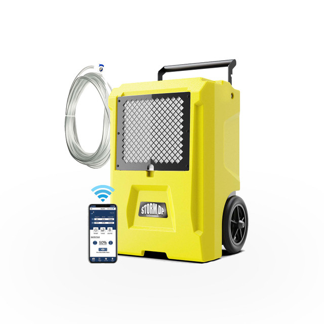 Alor Air Solutions Storm DP Single-Voltage Yellow Dehumidifier (AAB08LSSNZYR)